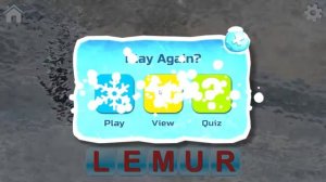 leran to read & look at the animals