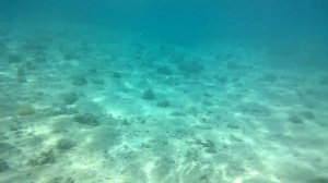 Съемка под водой