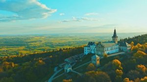 СБОРНИК НЕРЕАЛЬНЫХ ВИДОВ ПЛАНЕТЫ