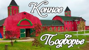 VLOG Конное подворье в Барыбино. Верблюд, лошади