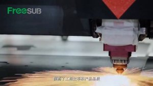 Sunmeta-Freesub Company