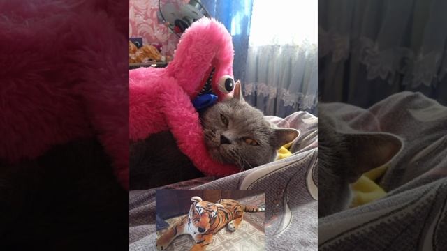 подпишись смотреть онлайн