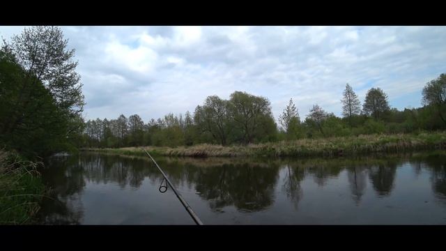 щука на спиннинг . Поймал хорошую щуку