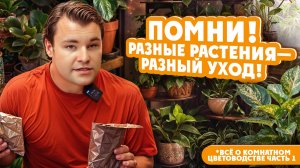 ВСЁ О КОМНАТНОМ ЦВЕТОВОДСТВЕ! ЧАСТЬ 1. Помни! РАЗНЫЕ Растения — РАЗНЫЙ Уход!