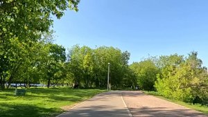 Поймав на свадьбе букет невесты, официантка принесла его дочери… А едва малышка взяла цветы в руки…