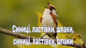 ЦВІТ ЗЕМЛІ  Віталіна Бессонова (плюс з текстом) 6 клас