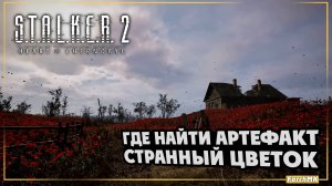 Где найти артефакт странный цветок в S.T.A.L.K.E.R. 2: Heart of Chernobyl