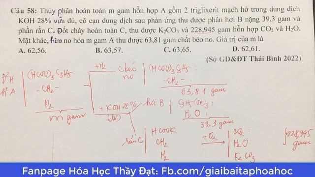 Thủy phân hoàn toàn m gam hỗn hợp A gồm 2 triglixerit mạch hở trong dung dịch KOH 28% vừa đủ, cô cạ смотреть онлайн