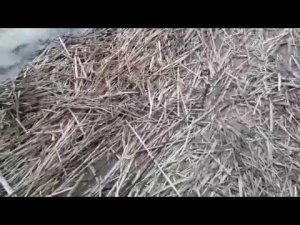 Юрманский залив, приехали на разведку 24.05.18