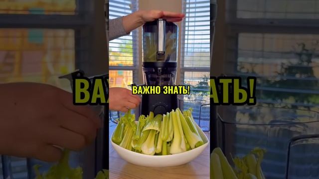 Зачем пить сок сельдерея? #зож #обзор #сельдерей