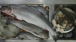 Рыба и морепродукты. Выбор Гордона Рамзи (Gordon Ramsay)
