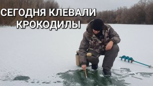 РЫБАЛКА НА ЩУКУ И ОКУНЯ! НА ЖЕРЛИЦЫ И УРАЛКУ. ЗИМНЯЯ РЫБАЛКА