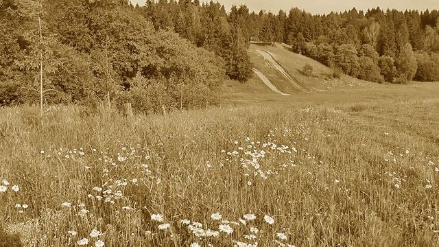Владислав Косарев. Выхожу один я на дорогу. смотреть онлайн