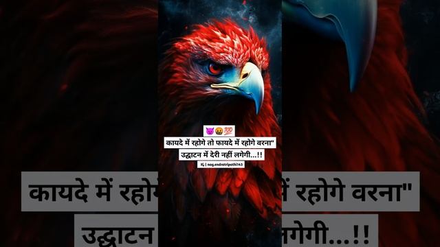 #eagle #birds #bird #nature #wildlife #eagles #birdsofinstagram #baldeagle #birdsofprey #wildlifeph