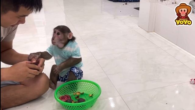 YoYo Jr is funny, smart and naughty
