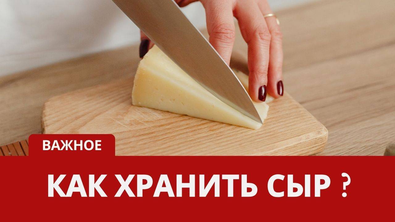 КАК ХРАНИТЬ СЫР без плесени! смотреть онлайн