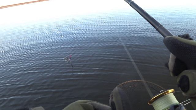 сом смотреть онлайн