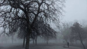 Штормовое предупреждение из-за сильного тумана объявили в Краснодарском крае