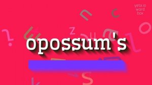 HOW TO PRONOUNCE OPOSSUM'S? #opossum's