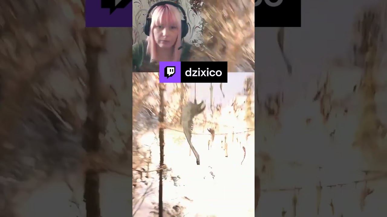 Dzixico тратит самодельные бомбы #dzixico #Twitch #дзихико смотреть онлайн