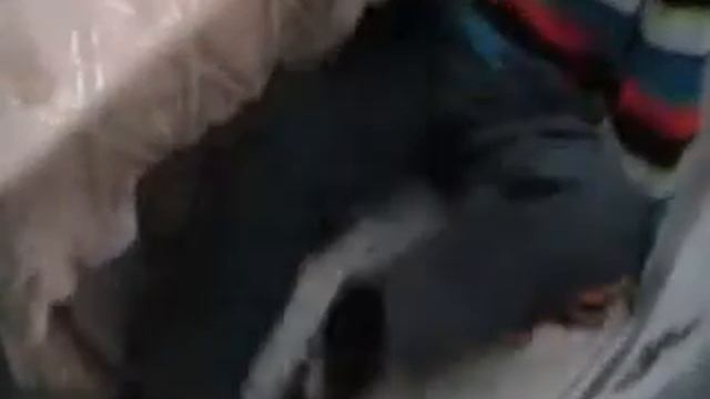 мням...мням...2013 смотреть онлайн