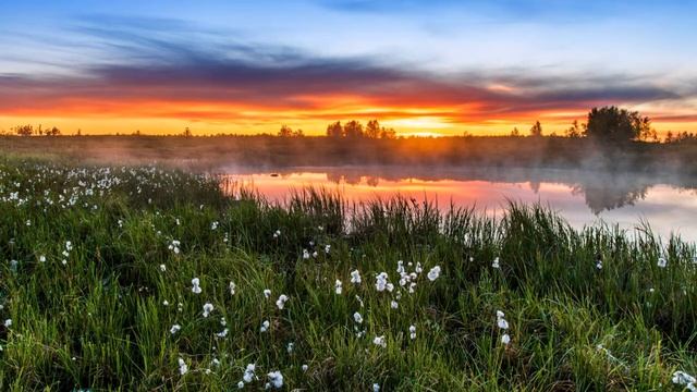 ВДЫХАЮ ВОЗДУХ ДЕРЕВЕНСКИЙ НА ЗАРЕ экв сл И Остудина, муз В Гольдербайн, вокал Л Великанова смотреть онлайн