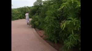 Диалоги на санскрите — 2, домашние дела