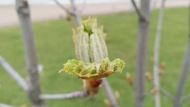 © Краски мая. 06.05.2024 смотреть онлайн