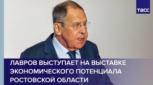Лавров выступает на выставке экономического потенциала Ростовской области