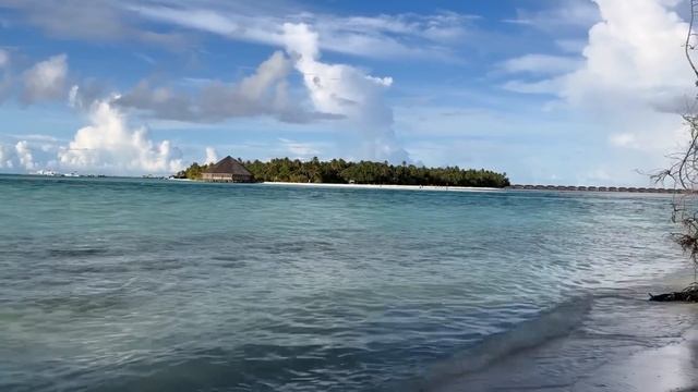 Мальдивы ОЧЕНЬ бюджетно ОБЗОР локального острова Диффуши Пляжи острова #мальдивы #диффуши #dhiffush смотреть онлайн