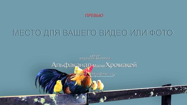 126. Папа смотреть онлайн