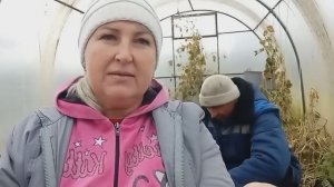 Сажаем ЧЕСНОК 🧄. Муж работает, а я ЛЕНЮСЬ 😅