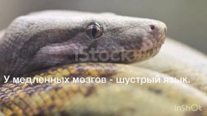 Со смыслом 53