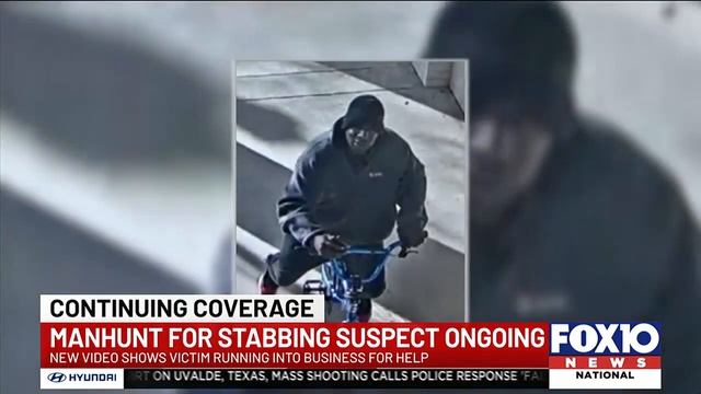 Manhunt ongoing for suspect in stabbing of woman at Foleys Heritage Park