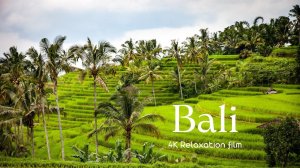 Bali (Бали) - 4K - Relaxation Film With Calming Music | INDONESIA