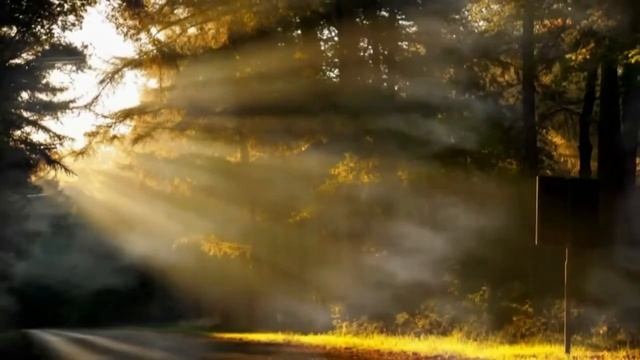 Так дымно, что в зеркале нет отраженья... смотреть онлайн