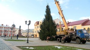 (Рыбинск-40) ЖИВАЯ ЕЛЬ ДЛЯ КРАСНОЙ ПЛОЩАДИ