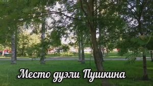 Место дуэли А.С.Пушкина