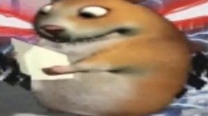 Хомяк слушает фонк