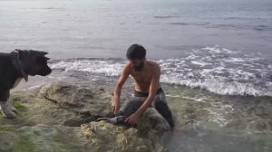 3 DAYS solo survival - NO FOOD, NO WATER ON AN ISLAND. Catch and Cook,  FISHING. Bushcraft Camping