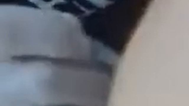 Minha Tattoo 2 смотреть онлайн