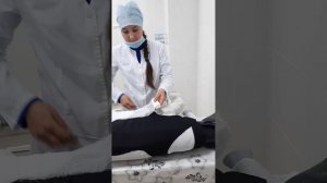 Онлайн-пробы МСХТ 2023 год