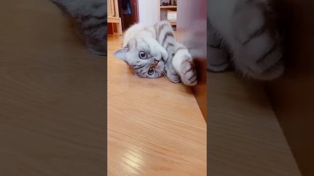 Вот как он понимает? смотреть онлайн