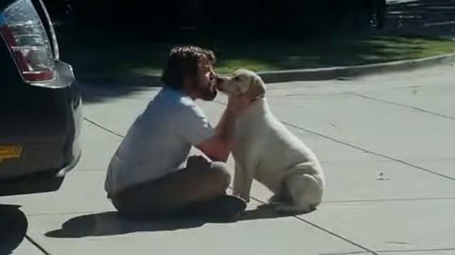 вырезать фразу смотреть онлайн