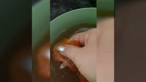 Икра форели самый простой способ посола икры !
