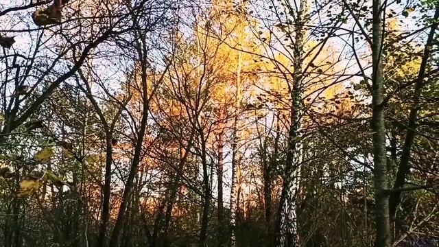 Про осінь - в прозі