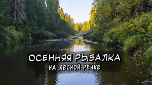 РЫБАЛКА НА ОСЕННЕЙ ЛЕСНОЙ РЕКЕ С БАТЕЙ \ ПОСЕТИЛИ ИЗБУ \ ОТЛИЧНО ПРОВЕЛИ ВЫХОДНЫЕ