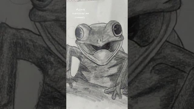 sketch of a tree frog #frog #treefrog #bestsketch #sketch #shivamsketches