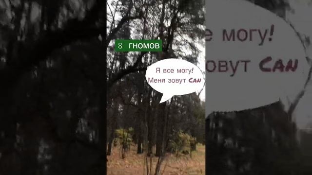 Старший гном по имени Can из сказки «В поисках сокровищ английского языка» смотреть онлайн