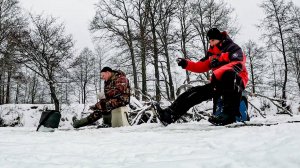 НЕ ЗРЯ ЗАБРАЛИСЬ В ДЕБРИ, ОКУНЬ, ПЛОТВА. Рыбалка на безмотылку зимой на первый лёд